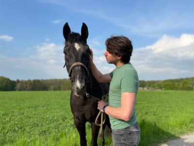 Alle Führungskräfte sollten Pferde besitzen​