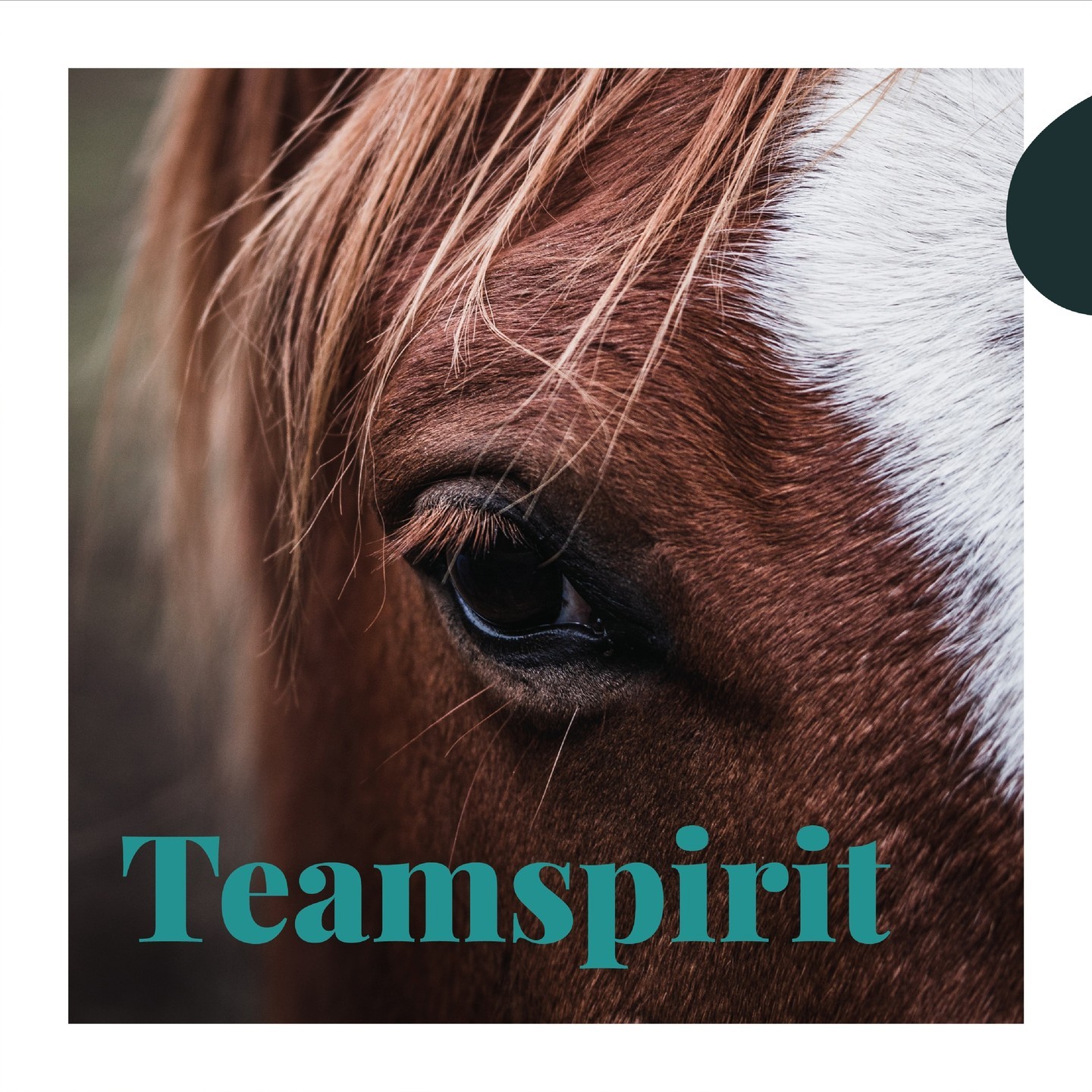 Teamspirit