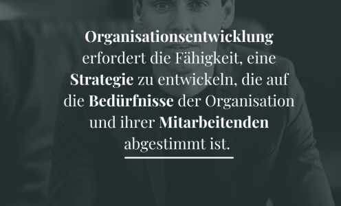 Organisationsentwicklung erfordert die Fähigkeit, eine Strategie zu entwickeln, die auf die Bedürfnisse der Organisation und ihrer Mitarbeitenden abgestimmt ist